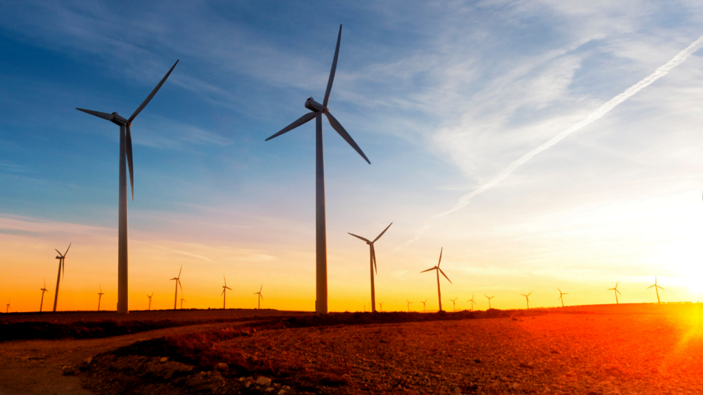 Windfall Tax - What does this mean for Renewables?