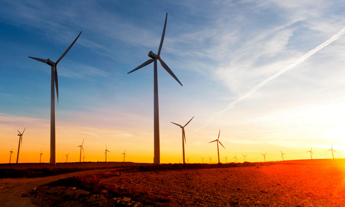 Windfall Tax – What does this mean for Renewables?